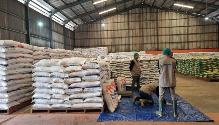 Pemerintah Percepat Pembangunan 100 Gudang Bulog Serap Gabah dan Jagung.