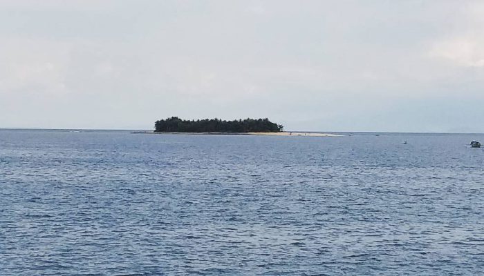 Indonesia Kejar Rp 2 Triliun! Forum Investasi Kelautan-Perikanan Jadi Magnet Modal Asing