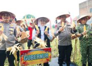 Gubernur Khofifah Panen Raya Jagung di Sidoarjo, Produksi Jawa Timur Diproyeksikan 5,4 Juta Ton pada 2026