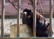 KBS Digeledah Kejati, Dokumen Pengelolaan Keuangan Jadi Fokus Penyidikan