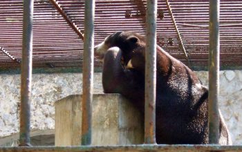 KBS Digeledah Kejati, Dokumen Pengelolaan Keuangan Jadi Fokus Penyidikan