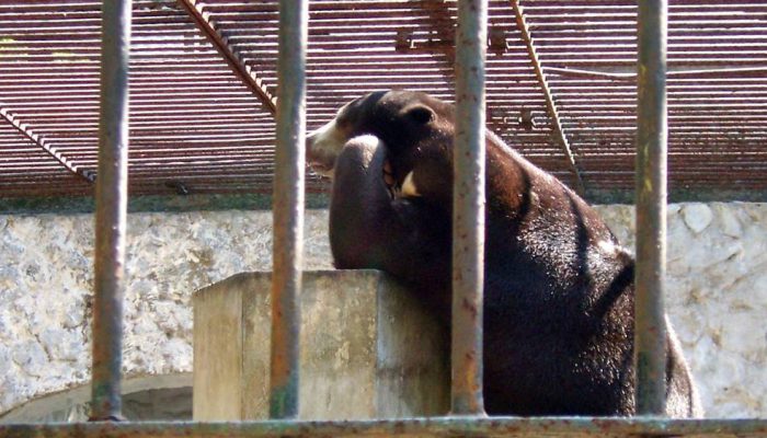 KBS Digeledah Kejati, Dokumen Pengelolaan Keuangan Jadi Fokus Penyidikan