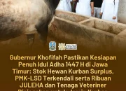 Gubernur Khofifah Jamin Kelayakan Hewan Kurban, Infrastruktur Pemotongan Memadai