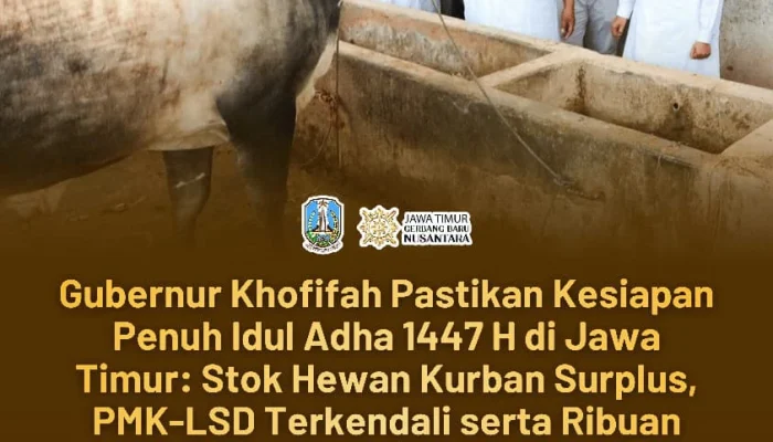 Gubernur Khofifah Jamin Kelayakan Hewan Kurban, Infrastruktur Pemotongan Memadai