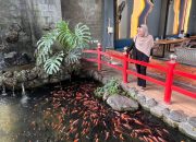 Seru untuk Anak dan Nyaman untuk Orang Tua, Andaliman Jadi Resto Pilihan Keluarga Kediri