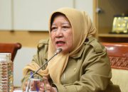 DPR Usulkan Dewan Advokat Nasional untuk Perketat Etik dan Pengawasan Advokat