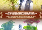Gubernur Khofifah Yakin Produksi Padi Jatim Meningkat dan Dukung Program Pangan Nasional