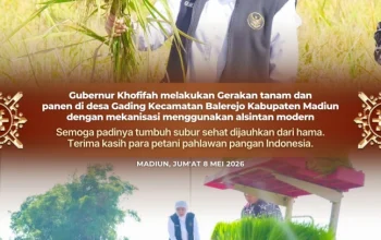 Gubernur Khofifah Yakin Produksi Padi Jatim Meningkat dan Dukung Program Pangan Nasional