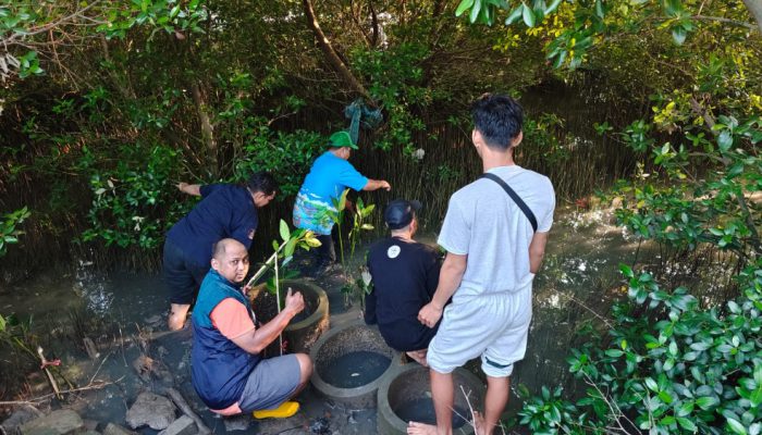 TPS Bersama Masyarakat Tanam 3.000 Mangrove di Kawasan Pesisir Asem Rowo