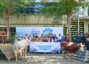 PT Terminal Teluk Lamong Perkuat Kepedulian Sosial Lewat Program Kurban 2026