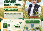Gubernur Khofifah: Kenaikan Produksi Padi Jatim di Tengah Tantangan Iklim Bukti Pertanian Tetap Tangguh