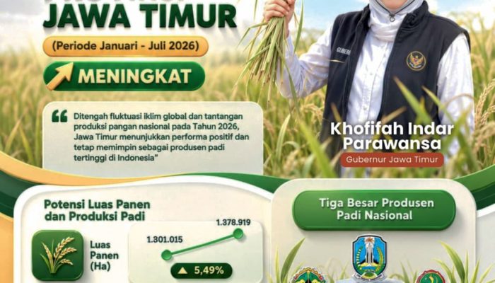 Gubernur Khofifah: Kenaikan Produksi Padi Jatim di Tengah Tantangan Iklim Bukti Pertanian Tetap Tangguh