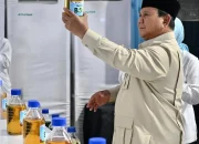 Pegunungan Papua Diduga Simpan Cadangan Emas Raksasa, Prabowo: BRIN Sedang Eksplorasi