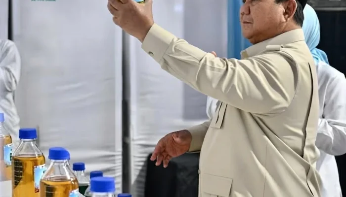 Pegunungan Papua Diduga Simpan Cadangan Emas Raksasa, Prabowo: BRIN Sedang Eksplorasi