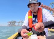 TTL dan BRIN Kolaborasi Petakan Keanekaragaman Hayati Laut Kawasan Teluk Lamong