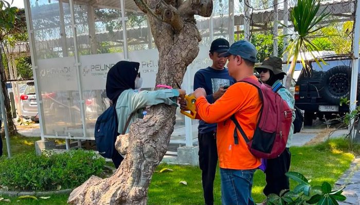 Komitmen Hijau Terminal Teluk Lamong, Gandeng BRIN Perkuat Keanekaragaman Hayati Pesisir