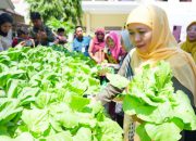 Gubernur Khofifah Perkuat Pendidikan Ketahanan Pangan dan Kewirausahaan Lewat Program SIKAP