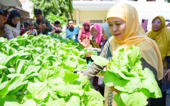Gubernur Khofifah Perkuat Pendidikan Ketahanan Pangan dan Kewirausahaan Lewat Program SIKAP