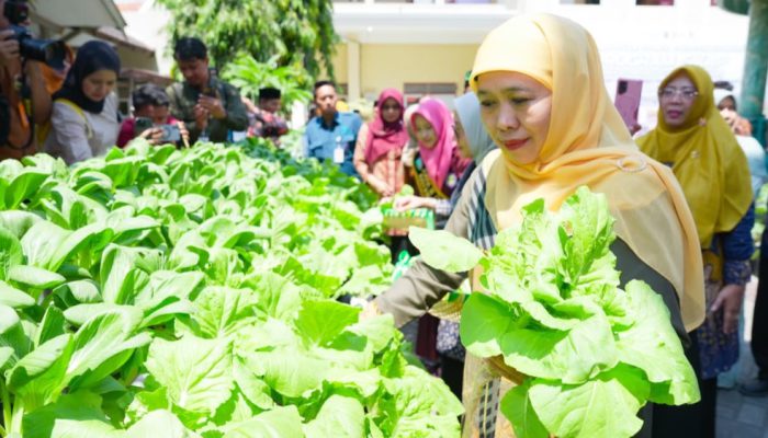 Gubernur Khofifah Perkuat Pendidikan Ketahanan Pangan dan Kewirausahaan Lewat Program SIKAP