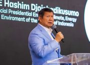 Hashim Sebut Biofuel B50–B100 Gunakan 12,7 Juta Hektare Hutan Rusak, Greenpeace Pertanyakan Lokas